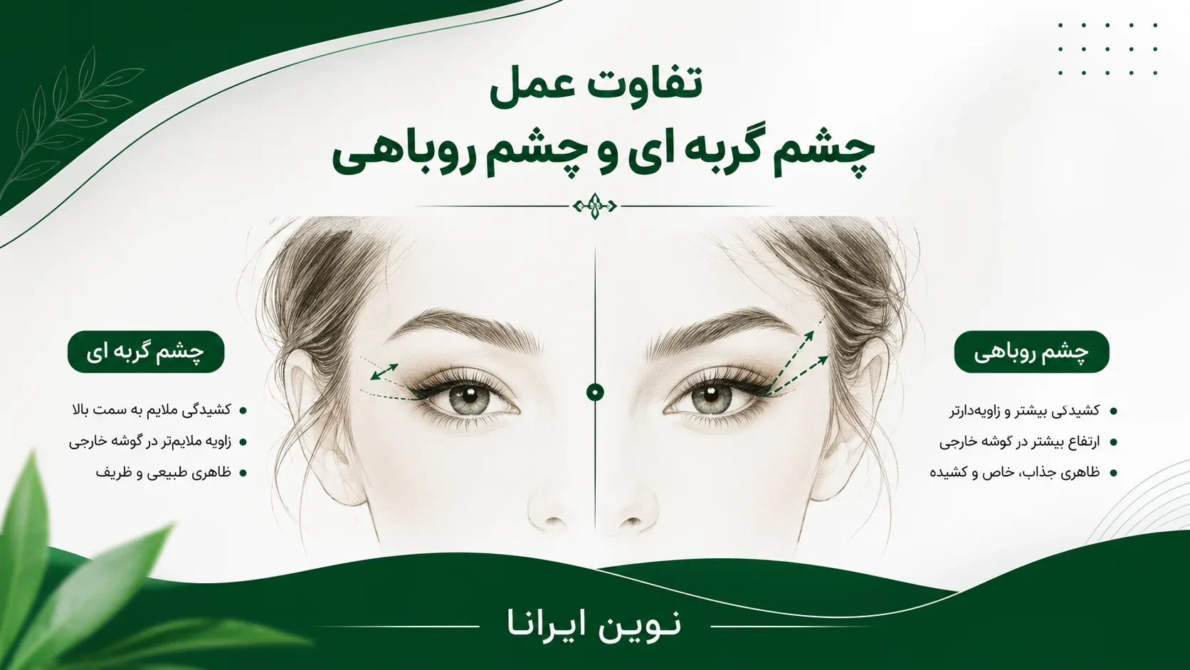 تفاوت عمل چشم گربه ای با چشم روباهی