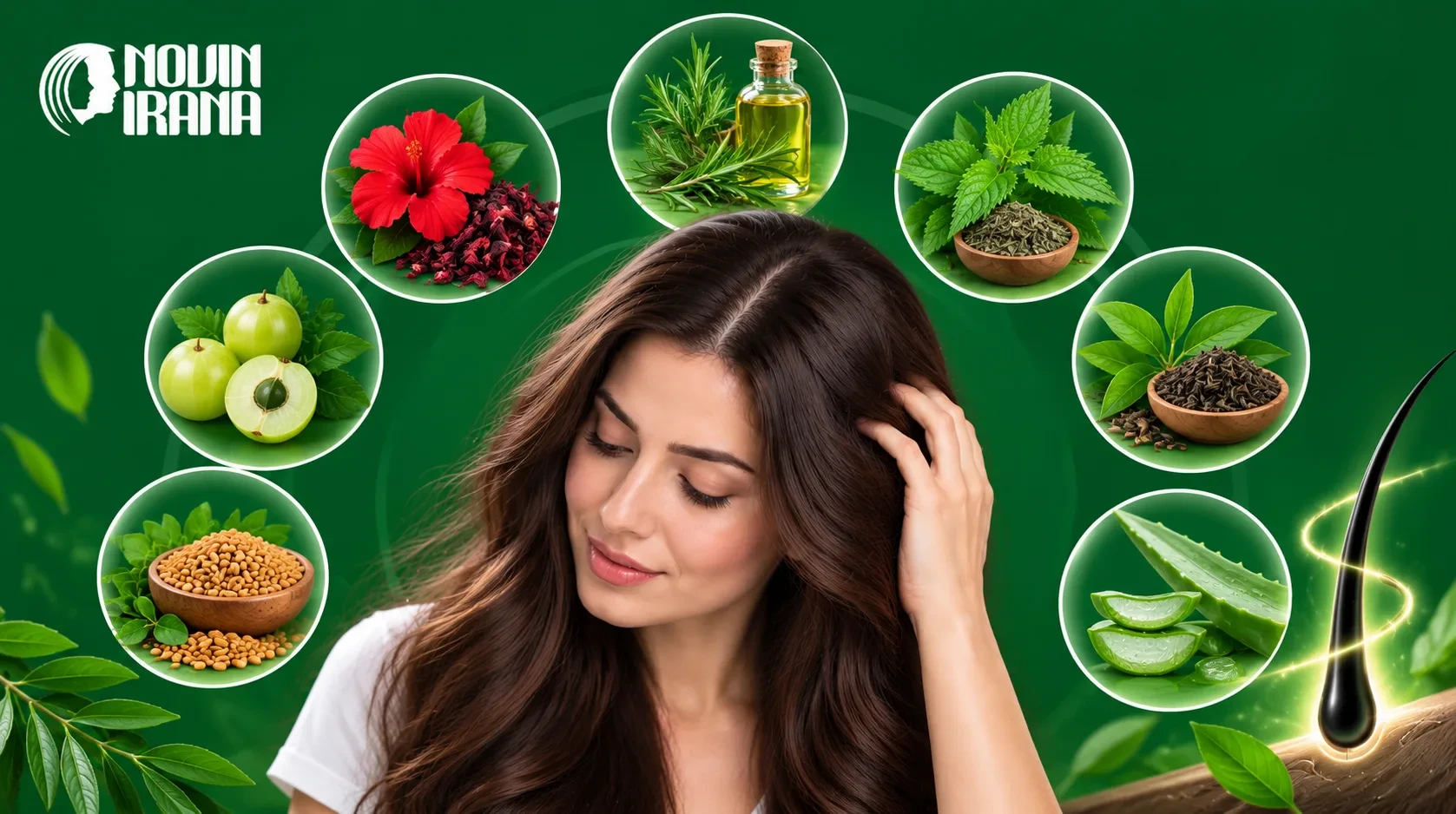 داروی گیاهی برای پرپشت شدن مو