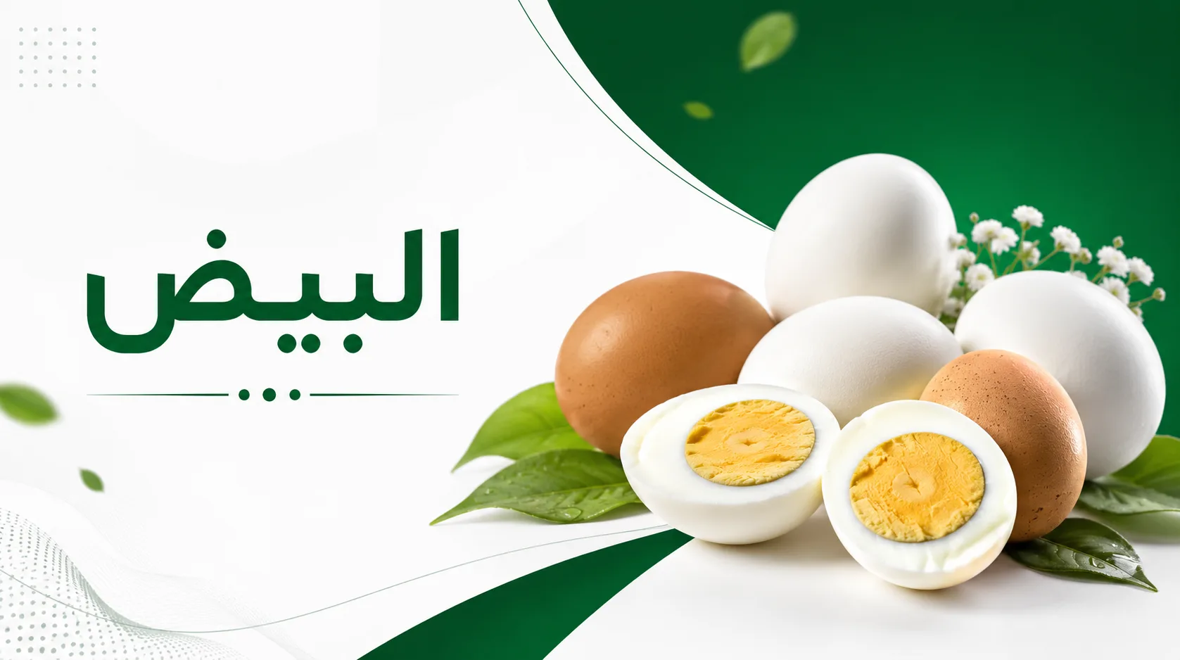 البيض
