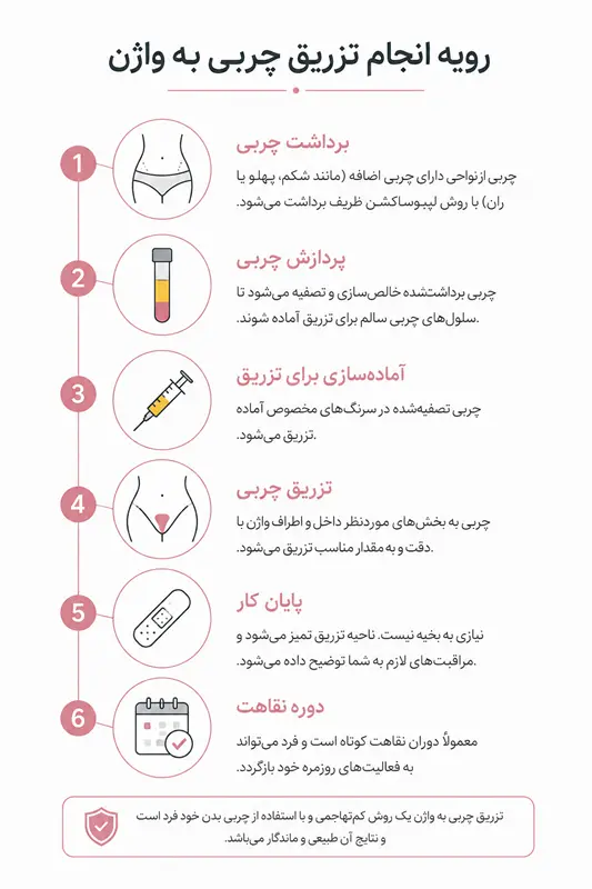 تزریق چربی به واژن در شهر مشهد چگونه انجام می شود؟